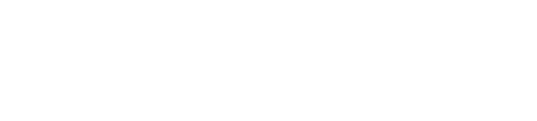 BRIGHTIN STAR 品牌标志